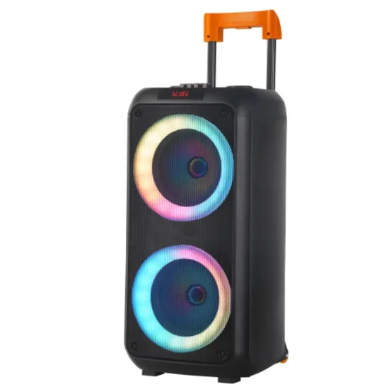Enceinte portable sans fil NDR Dual 8 pouces, basse puissante, gamme complète, personnalisée, idéale pour les fêtes et l'extérieur
