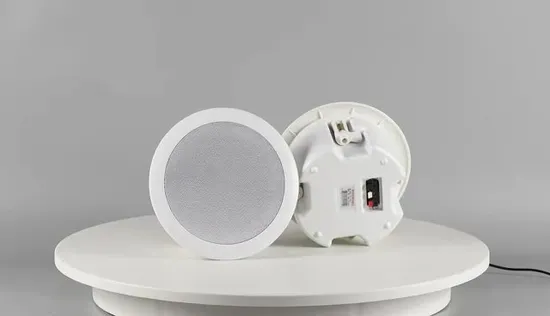 Système de sonorisation mural à large bande en plastique de 5 pouces, haut-parleur de plafond BT 20 W