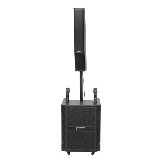 Enceinte colonne portable à haut rendement, enceinte active avec support, boîtier en bois de 15 pouces