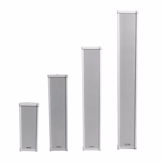 Enceinte colonne professionnelle d'intérieur 2,5