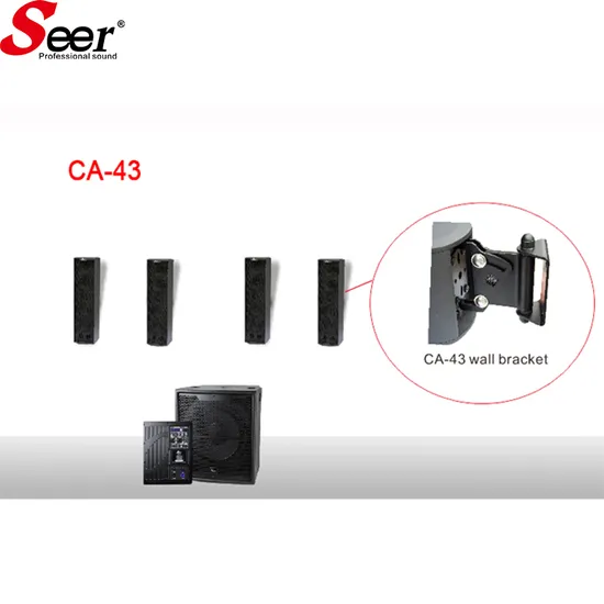 Enceinte large bande Seer Audio 8 pouces, enceinte active professionnelle pour petite salle de réunion