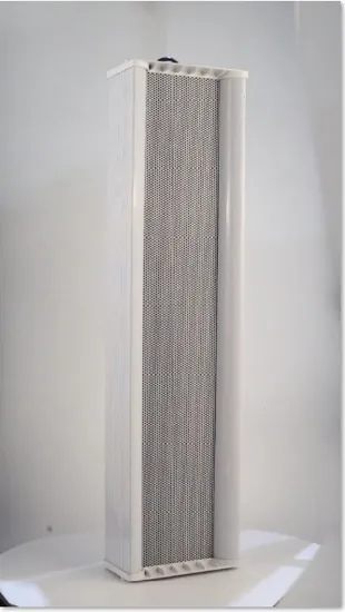 Enceinte colonne filaire d'une puissance nominale de 80 W avec tous les