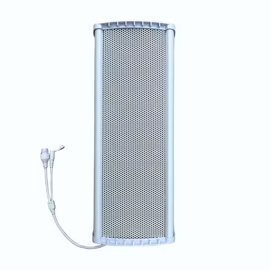Système de sonorisation analogique avec haut-parleur colonne haute définition monté sur poteau pour la diffusion