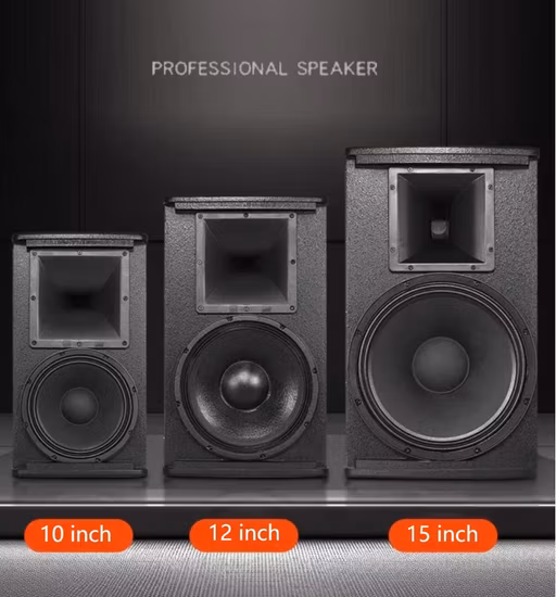 Enceinte passive haute puissance 15 pouces, gamme complète, 800 W, pour scène, haut-parleur audio professionnel