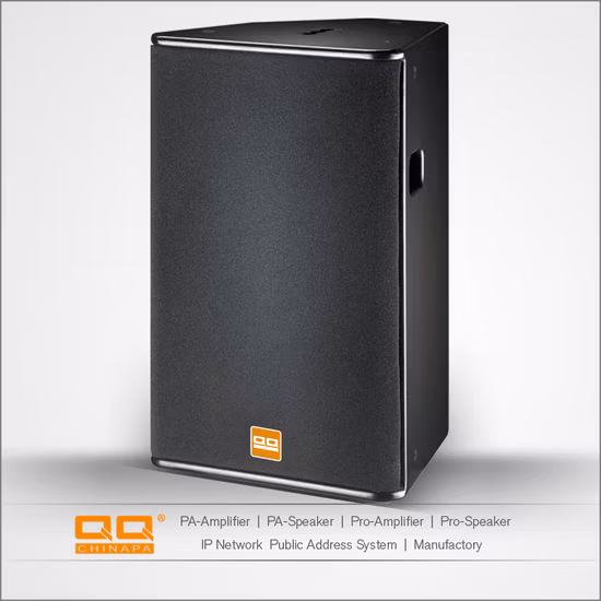 Enceinte de puissance professionnelle 2 voies à large bande 12 pouces 300 W